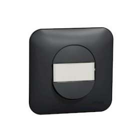 Ovalis - Poussoir à fermeture - avec porte-étiquette Avec plaque -Anthracite|Schneider Electric-SCHS460266