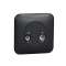 Ovalis - Prise TV/FM - 1 entrée - fixation par vis Avec plaque -Anthracite