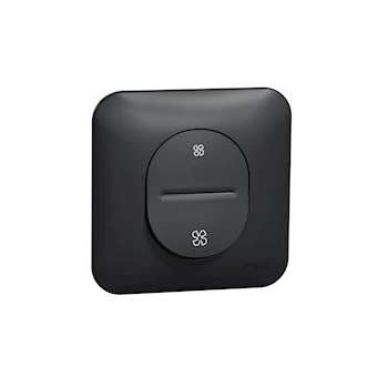 Ovalis - Bouton poussoir VMC - 2 vitesses Avec plaque de finition -Anthracite|Schneider Electric-SCHS460236