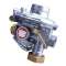 REGULATEUR B25N 50 MBAR