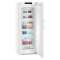 Congélateur Armoire NoFrost BLUPerformance Comfort