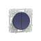 Odace, double poussoir Cobalt, à vis, connexion rapide|Schneider Electric-SCHS550216