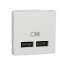 Unica - chargeur USB double - 5Vcc - 1A + 2,1A - 2 modules - Blanc - méca seul|Schneider Electric-SCHNU341818