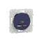 Odace - prise USB double - type A+C - Cobalt - 5 Vcc - 2,4A|Schneider Electric-SCHS550401