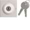 Interrupteur a clefs gallery 2 positions 2 modules titane|Hager-HAGWXF615T