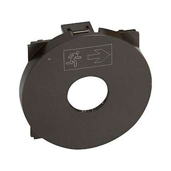 Enjoliveur Céliane pour interrupteur à clé pour BAES - finition graphite|Legrand-LEG067929