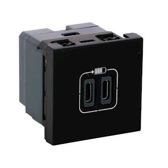 Chargeur 2 USB Type-C 3A 5V 15W Mosaic 2 modules 230V - noir|Legrand-LEG079190L