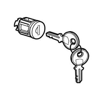 Barillet à clé type405 pour porte métal ou vitrée XL³800/400/160 - 1 jeu 2 clés|Legrand-LEG020291