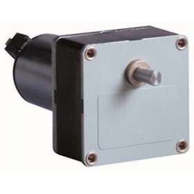DC Brush Geared Motor 808170 Dir.2 3000RPM Vdc12 Ratio250|Crouzet-CRT80817011