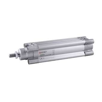 vérin double effet magnétique, amortisseur, D 063 S 0320|Aignep-AIGLH0630320