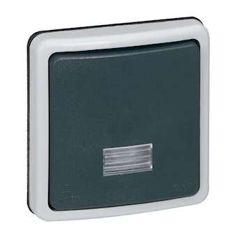 Interrupteur ou va-et-vient bipolaire à voyant 10A Plexo IP66 composable - gris|Legrand-LEG090484