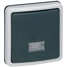 Interrupteur ou va-et-vient bipolaire à voyant 10A Plexo IP66 composable - gris|Legrand-LEG090484