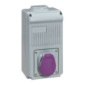 Coffret P17 IP44 + transformateur de sécurité + prise 16A 2P - 20-25V~ - 150VA|Legrand-LEG058927