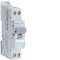 Disjoncteur 1P+N 6-10kA courbe C - 1A 1 module|Hager-HAGNFT701