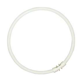 Tube T5 CIRCLINE PLUS 40W/840|Sylvania-SYL0000524