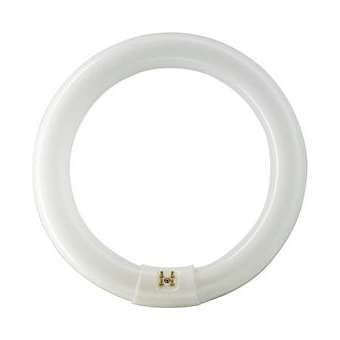 MASTER TL-E Circular Super 80 32W/840|Philips Signify-PHI559685