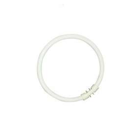 Tube T5 CIRCLINE PLUS 22W/840|Sylvania-SYL0000521