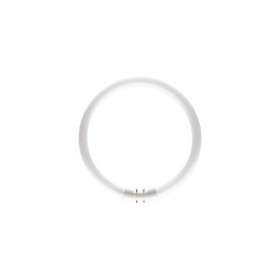 MASTER TL5 Circular 22W/830|Philips Signify-PHI640956