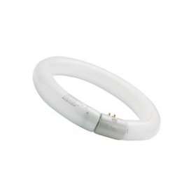 T9 Circline HR 32W 865 G10q|Sylvania-SYL0001965