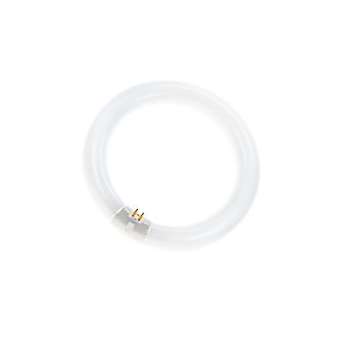 T9 Circline G10Q 32W Bl368 8'|Bailey-BIY50200336033