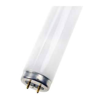Tl G13 T12 38X1200 40W 840|Bailey-BIY142688