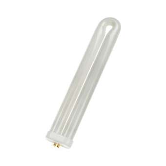 U-Shaped 4Pins 40W T8 55X300 Uv Blacklight|Bailey-BIYFUL40T8BL