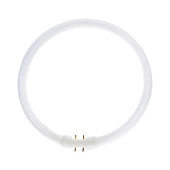 Tun T5 Circline 2Gx13 40W 840|Bailey-BIY143493