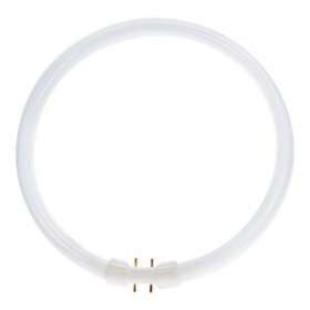 Tun T5 Circline 2Gx13 40W 840|Bailey-BIY143493