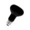 E27 R80 240V 75W Blb Lumière Noire