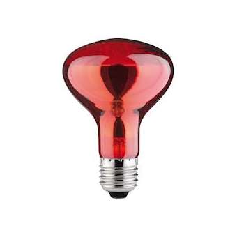 Réflecteur R80 60W E27 230V infrarouge|Paulmann-PUA82977