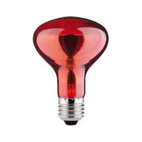 Réflecteur R80 60W E27 230V infrarouge|Paulmann-PUA82977