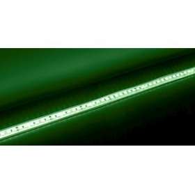 Bandeau Led 5m FORT PERF IP68 RGBW 19,5W/m 24VDC|Europole-POL723808