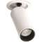 Fit 35 Recessed 19DEG 2700K WT