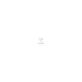 Platines Faible Puissance Pied de Mât EGS350 2xSON-T150W LV|Philips Signify-PHI848822