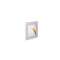 FRAME CURVE LED encastré, gris, LED 3,1W, 2700K|SLV-DC51000575