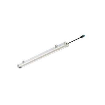 Pacific LED WT490C LED80S/840 PSD WB W5 L1200|Philips Signify-PHI625754