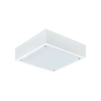 Encastré CR250B/CR150B CR250B LED35S/840 PSD W60L60 IP65 OC|Philips Signify-PHI382445