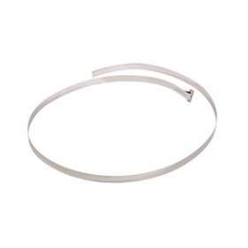 Bande de suspension en acier inoxydable, D 300 mm|nVent RAYCHEM-RAYPB1200