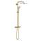 Colonne douche mitigeur thermostatique Euphoria System 310 Cool Sunrise brossé