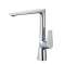 Mitigeur cuisine SPIRIT chrome|Paini france-PIN202CR570