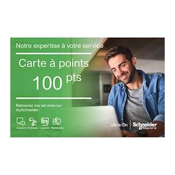 Service IND - carte à points - services en ligne - 100 points|Schneider Electric-SCHFSACSP100C