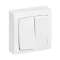 Double interrupteur ou va-et-vient Appareillage Saillie - blanc|Legrand-LEG097602