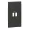 Enjoliveur Living Now pour chargeur USB 2 modules - noir|Bticino-TICBTKG12C