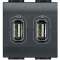 Chargeur 2 USB Type-A 2,4A 5V Livinglight - Anthracite - 2 modules|Bticino-TICL4285C2