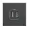 Chargeur 2 USB Type-A + Type-C 3A 5V 15W Axolute 2 modules 230V - Anthracite|Bticino-TICBTHS4287C2