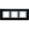 Plaque rectangulaire Axolute Aluminium brossé 2+2+2modules horizontal Anthracite|Bticino-TICHA4802M3HXS