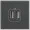 Chargeur USB double Axolute 5V 230V 2,4A - finition Anthracite - 2 modules|Bticino-TICHS4285C2