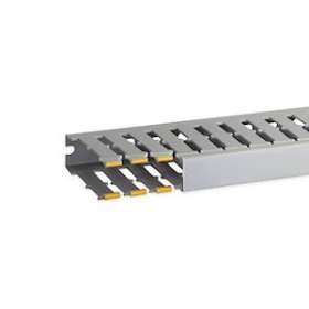 Goulotte de câblage au pas de 20 T1-N 25x80 grise|Iboco-IBOB02563