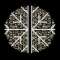 SNOWFLAKE - Double motif H1,8mxL1,8m - LED blanc pétillant - 230V