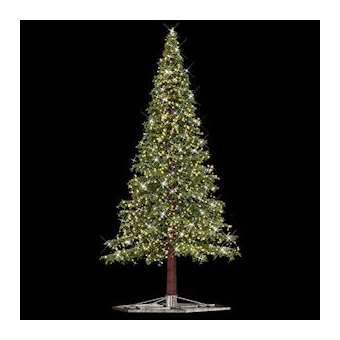 COLOSSUS - Sapin avec tronc 7,8m-7600 LED Blanc chaud pétillant-230V|Festilight-FEH70239-P9